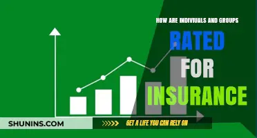 Understanding Insurance Ratings: Individuals and Groups