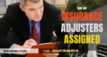 The Mystery of Insurance Adjuster Assignments: Unraveling the Process