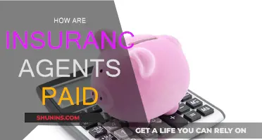 Understanding Insurance Agents' Compensation Structures