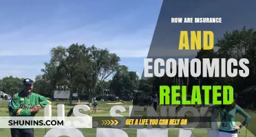 Insurance and Economics: Understanding Their Interconnected Role in Financial Stability