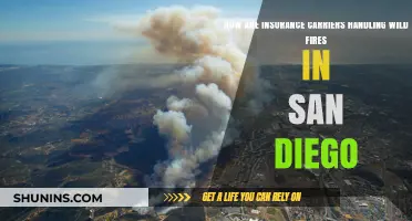San Diego Wildfires: Insurance Carriers' Response and Coverage Strategies
