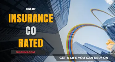 Insurance Company Ratings: What You Need to Know