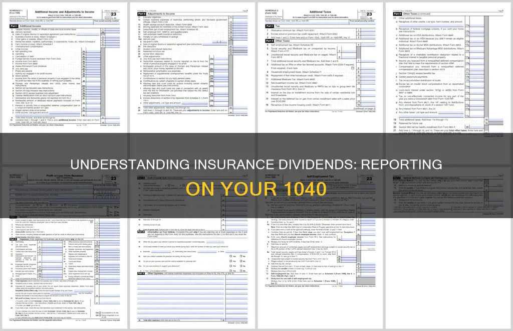 how are insurance dividends reported on 1040