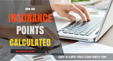 Understanding Insurance Points Calculation: A Comprehensive Guide for Policyholders