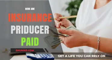 How Insurance Producers Earn Commissions: Compensation Structures Explained