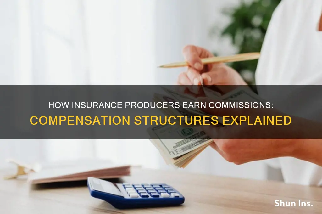 how are insurance priducer paid