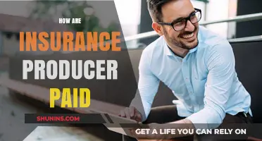 Understanding Insurance Producer Compensation: How Are They Paid?