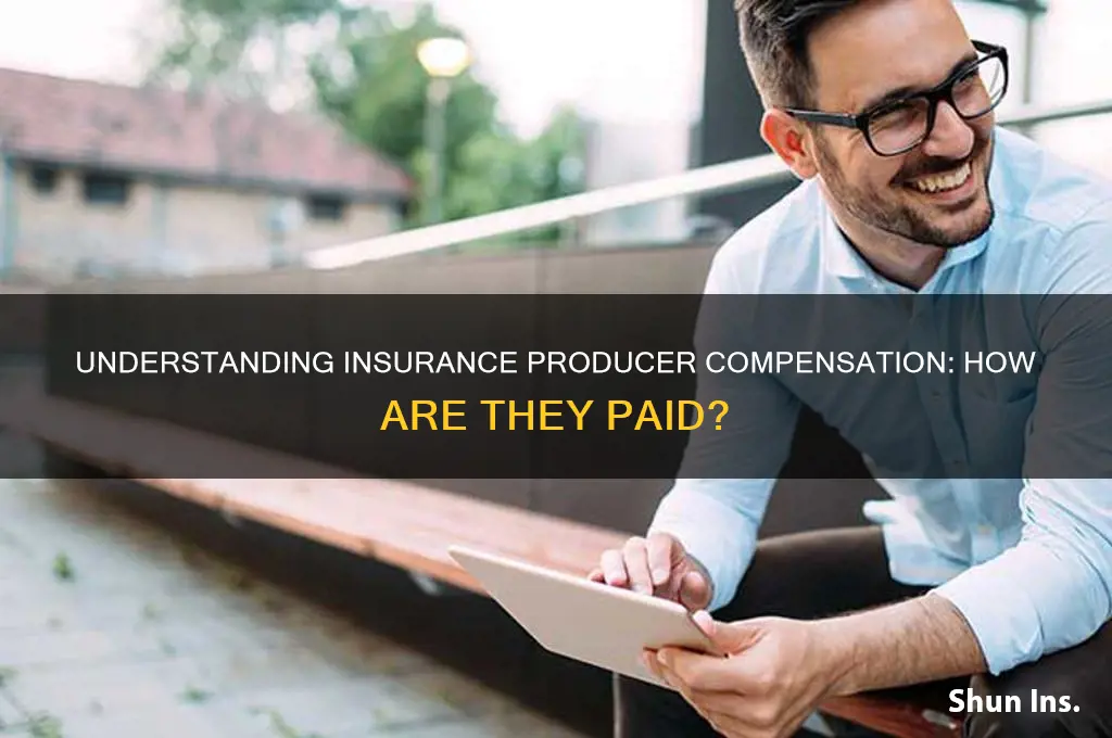 how are insurance producer paid