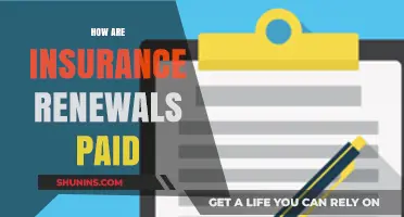 Understanding Insurance Renewals: Payment Methods and Options Explained