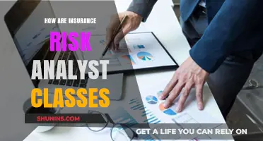 Insurance Risk Analyst Classes: A Comprehensive Guide