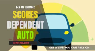 The Auto-Insurance Score: Uncovering the Secret Rating