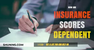 Understanding Insurance Scores: Key Factors Influencing Your Premium Rates