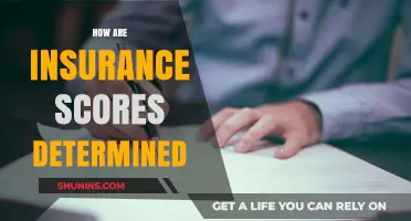 Understanding Insurance Scores: Key Factors That Determine Your Rating