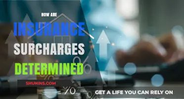 Understanding Insurance Surcharges: Factors and Calculations Explained