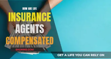 Life Insurance Agents: How Are They Paid?