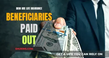 Life Insurance Beneficiaries: How and When They Get Paid