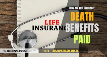 Understanding Life Insurance Death Benefits Payouts