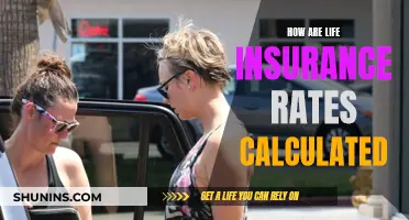 Understanding Life Insurance Rate Calculation Factors