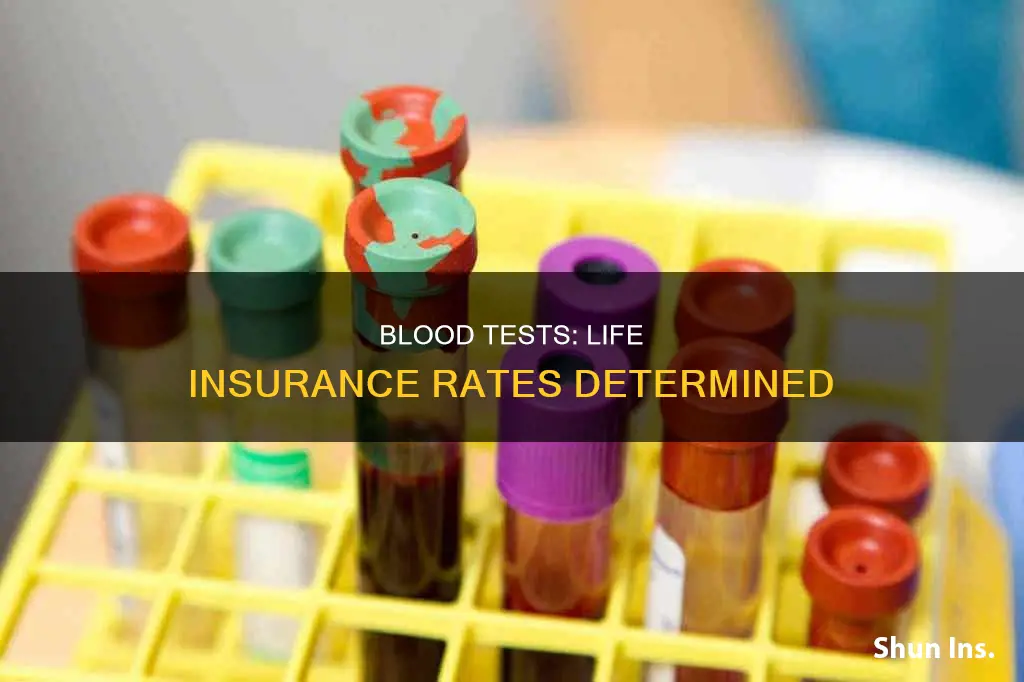 how are life insurance rates determined by the blood test