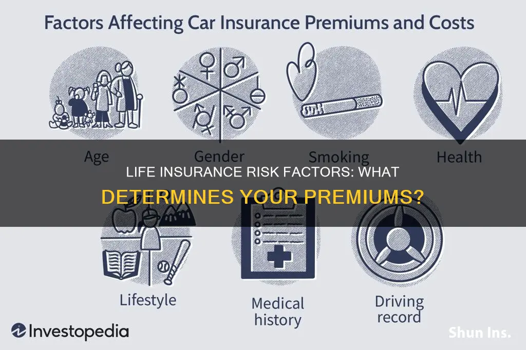 how are life insurance risk factors determined