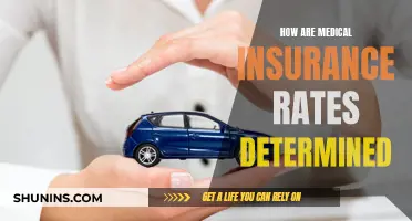 Understanding Medical Insurance Rates: Factors and Variables