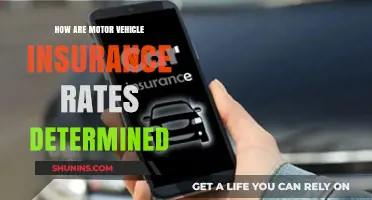 Factors Affecting Your Motor Insurance Rates