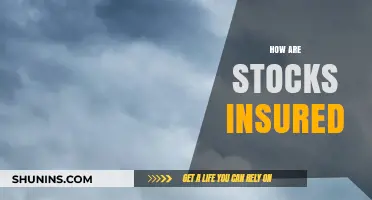 Understanding Stock Insurance: How Your Investments Are Protected