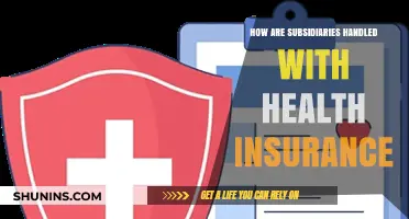 Subsidiary Health Insurance: Navigating Coverage, Compliance, and Employee Benefits