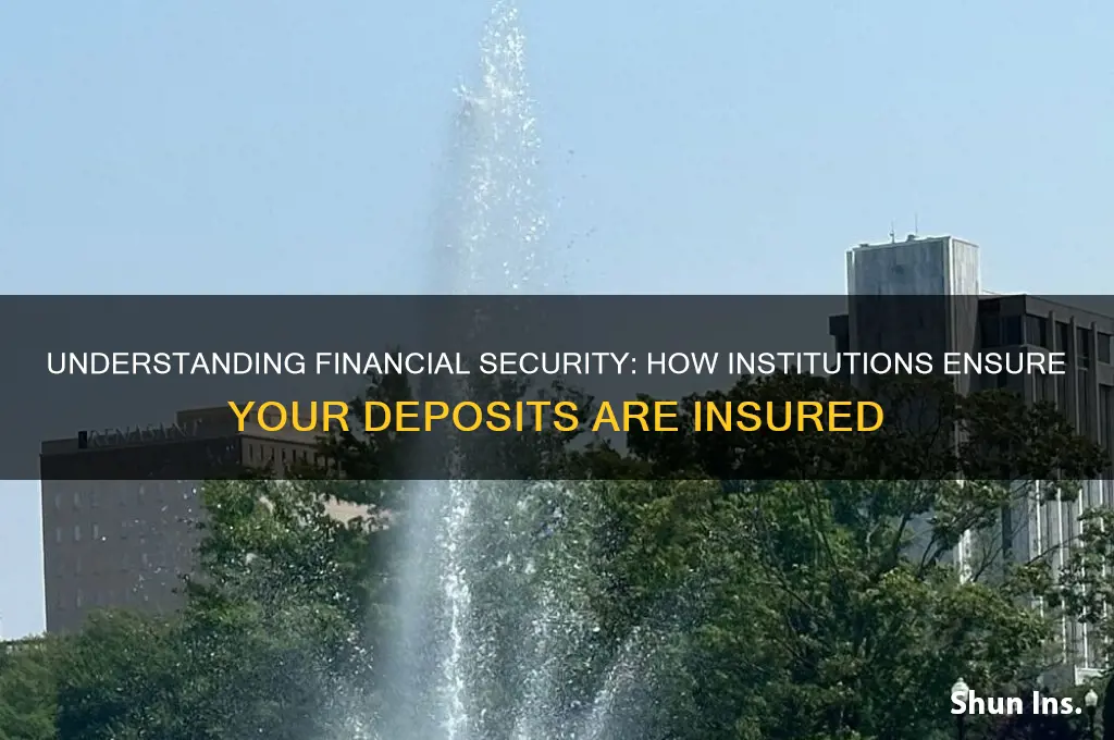 how are these institutions insured
