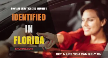 Unauthorized Insurers: Florida's Identification Process