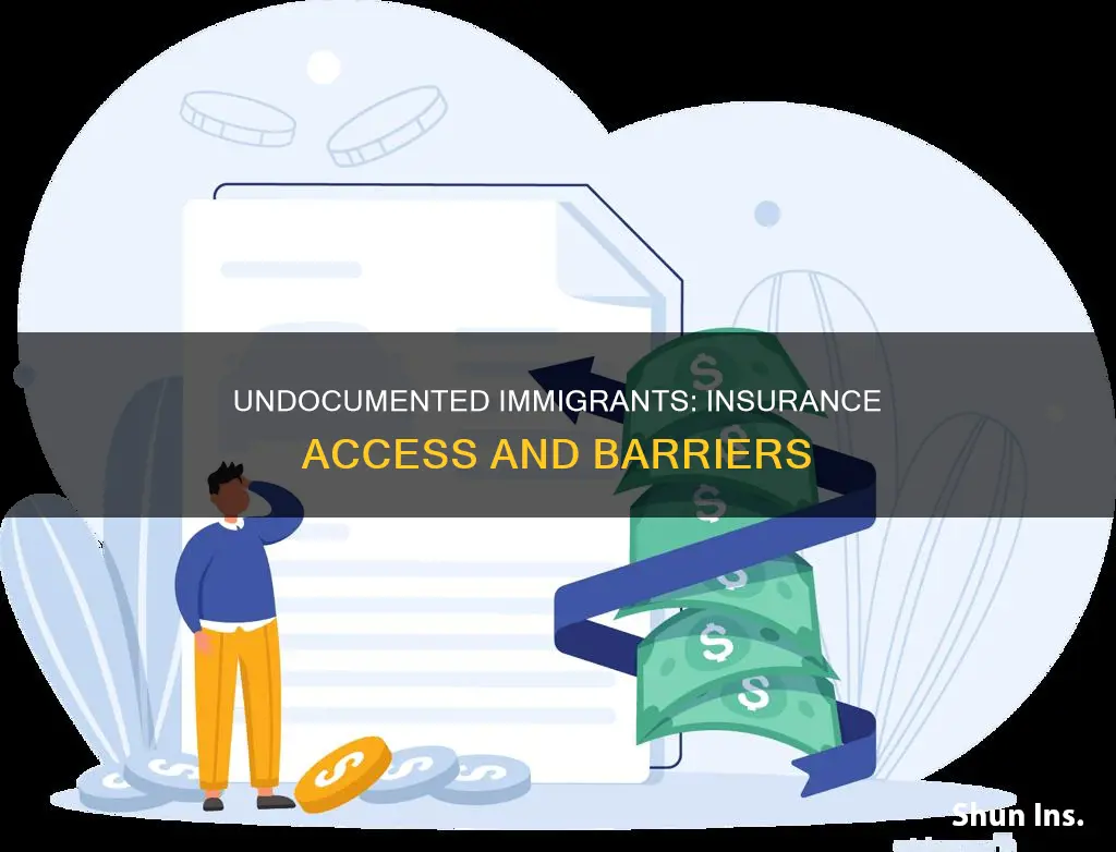 how are undocumented immigrants affected by insurance