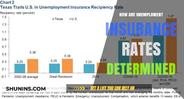 Understanding Unemployment Insurance Rate Determinants