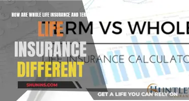 Whole Life vs Term Life Insurance: Key Differences Explained