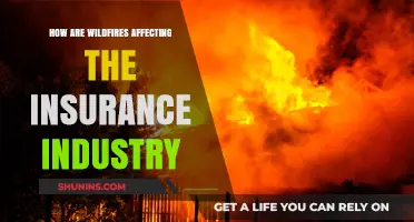 Wildfires' Impact: Insurance Industry's Rising Challenges