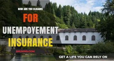 Understanding Eligibility for Unemployment Insurance: A Comprehensive Guide
