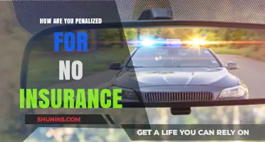 Driving Without Insurance: Understanding Penalties and Consequences for Uninsured Drivers