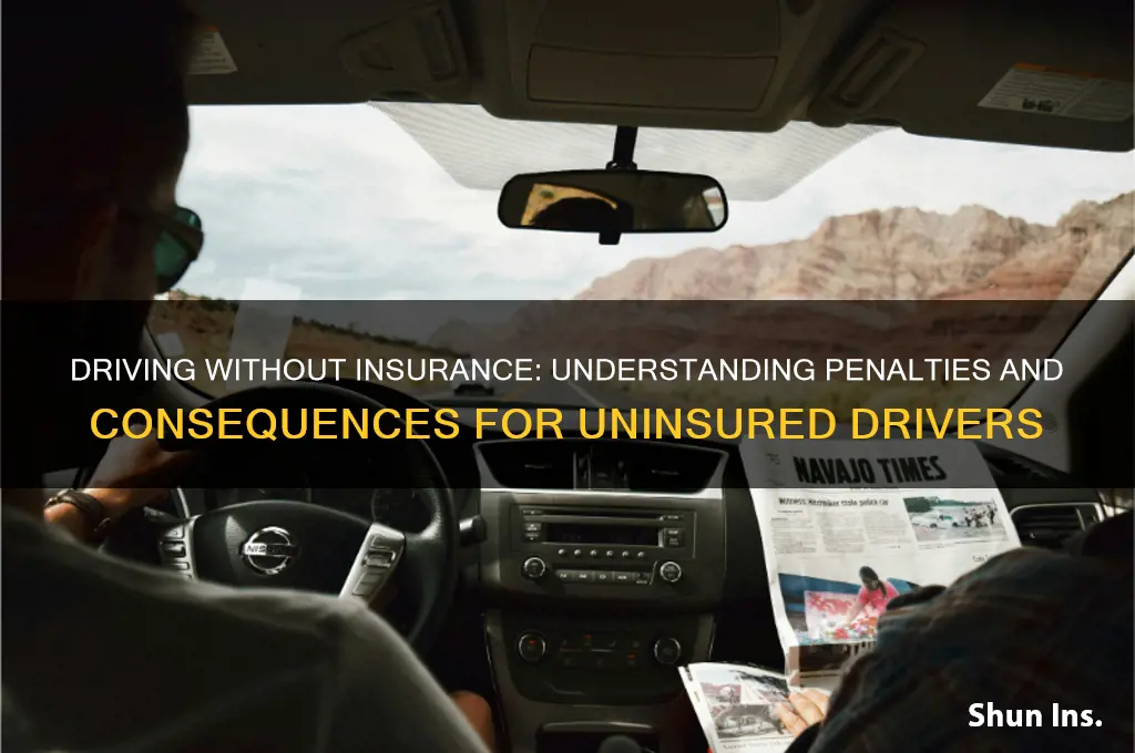 how are you penalized for no insurance