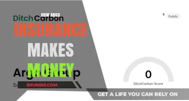 Argo Insurance: Strategies for Profitability and Success