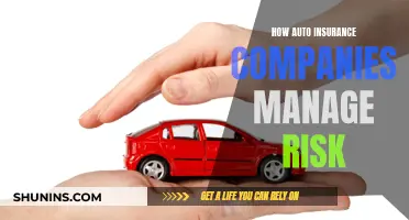 Managing Risk: Strategies of Auto Insurance Companies