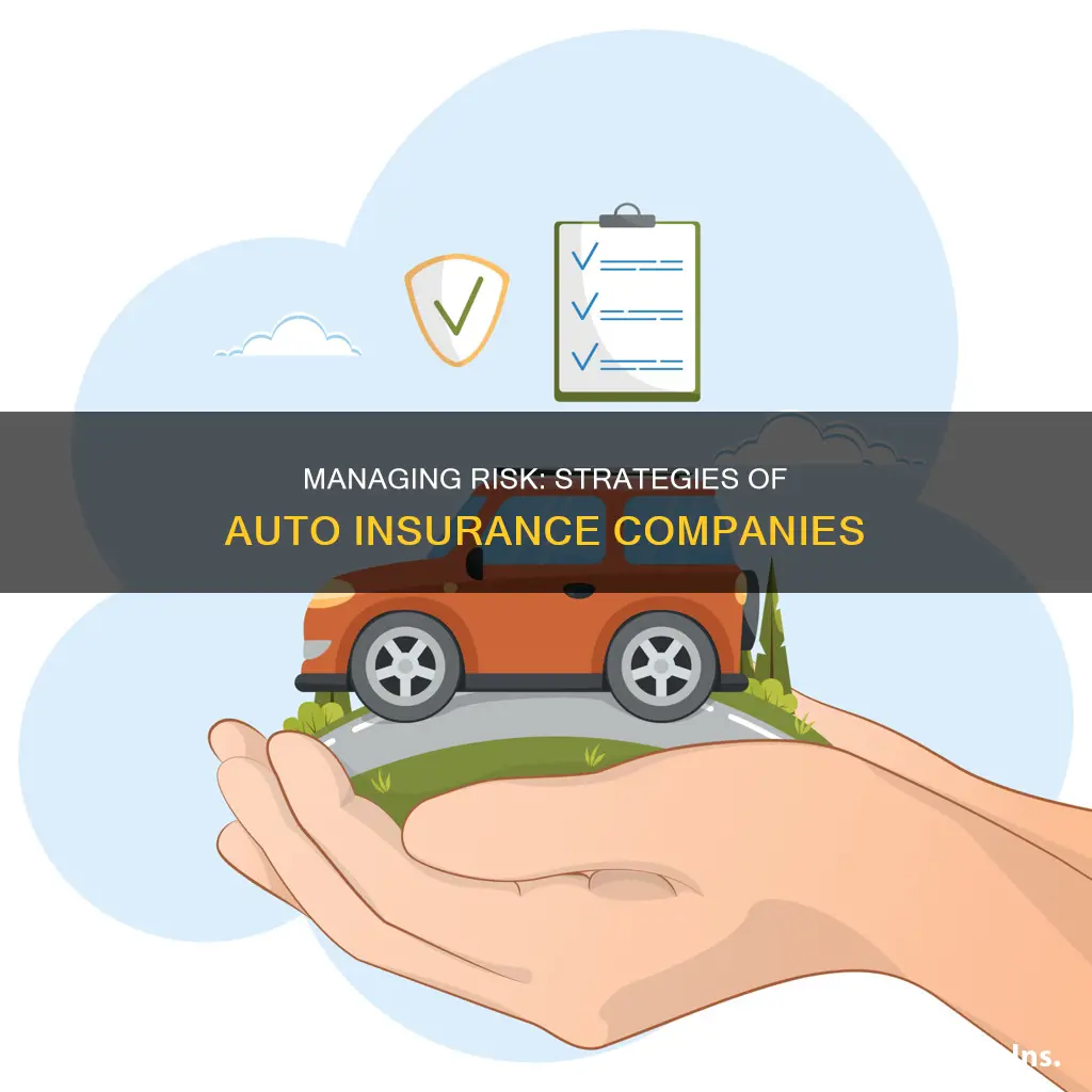 how auto insurance companies manage risk