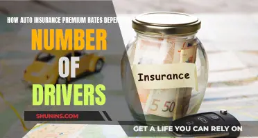 Multiple Drivers, Multiple Factors: Unraveling Auto Insurance Premium Rates