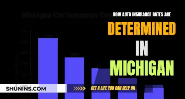 Michigan Auto Insurance Rates: Unlocking the Factors that Determine Your Premiums