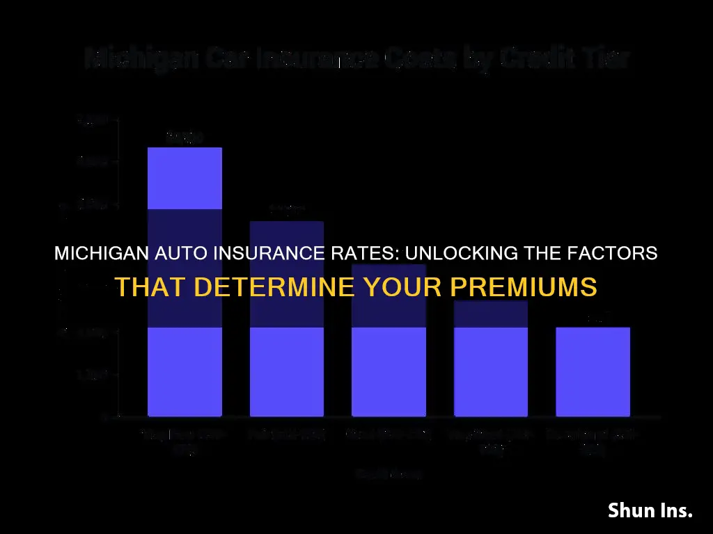 how auto insurance rates are determined in Michigan