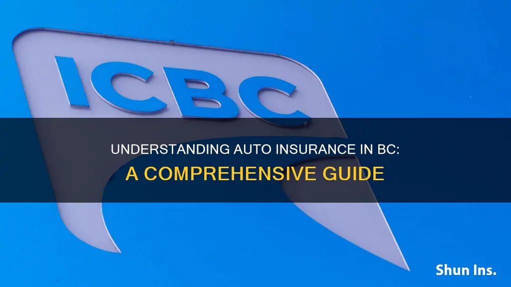 how auto insurance works in bc