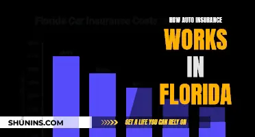 Florida Auto Insurance Fundamentals: Understanding the Sunshine State's Unique System