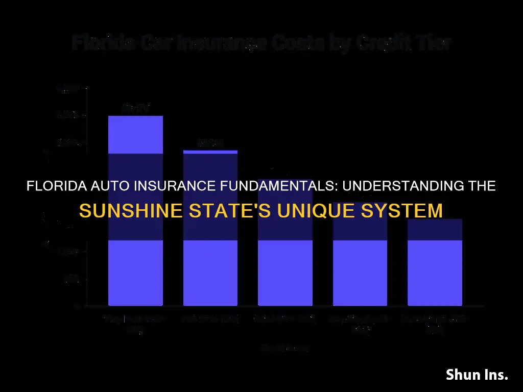 how auto insurance works in Florida