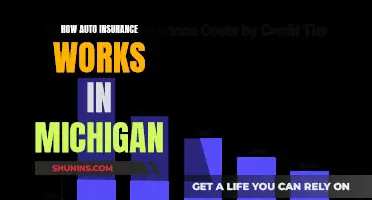 Michigan's Unique Auto Insurance System: Understanding the Basics