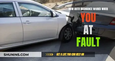 Understanding At-Fault Auto Insurance: What You Need to Know