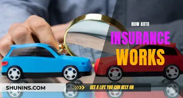 Auto Insurance: What You Need to Know