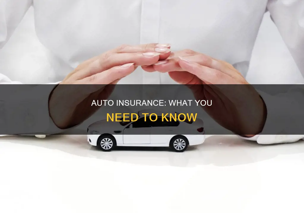 how auto insurance works